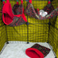 Gryffindor-Themed 3-Piece Cage Set