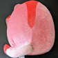 Rayn Sugar Glider Squishmallow