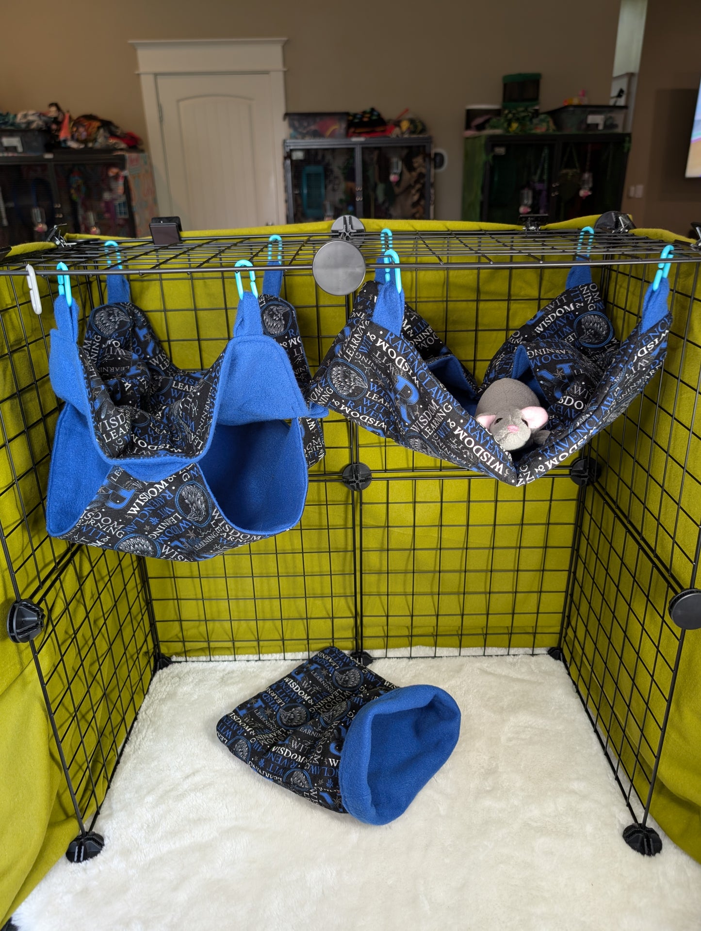 Ravenclaw House 3-Piece Cage Set