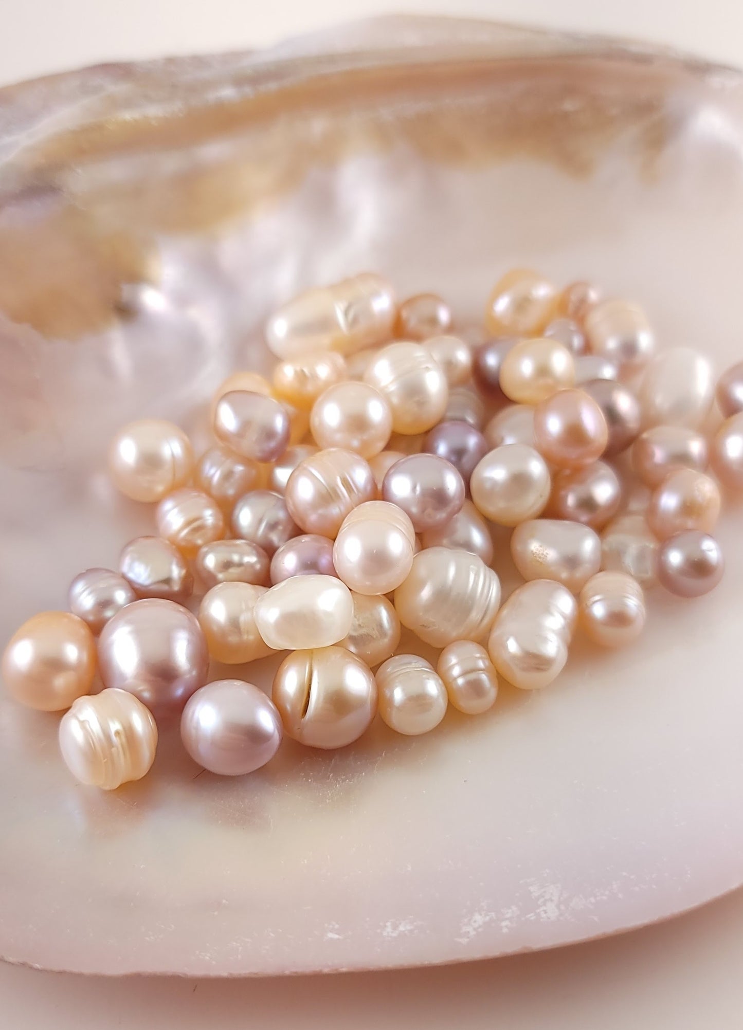 Adorable Sugar Glider Pearl Locket
